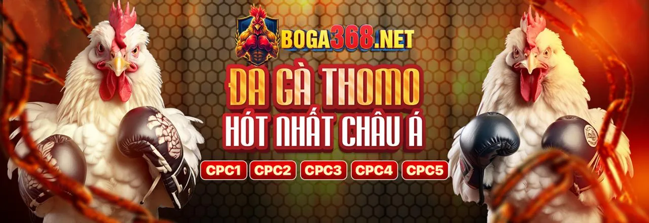 Quy Trình Tham Gia Đá Gà 789wim